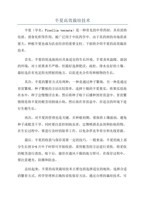 半夏高效栽培技术