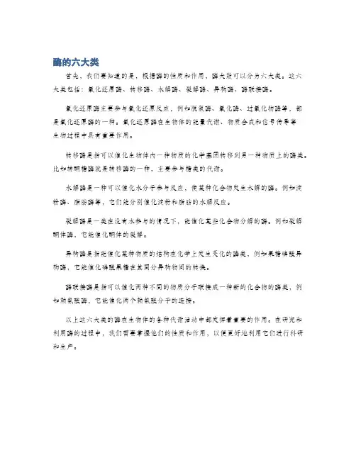 酶的六大类