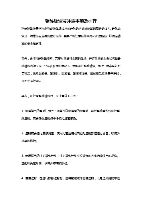 猪静脉输液注意事项及护理
