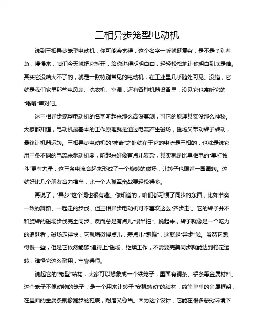三相异步笼型电动机