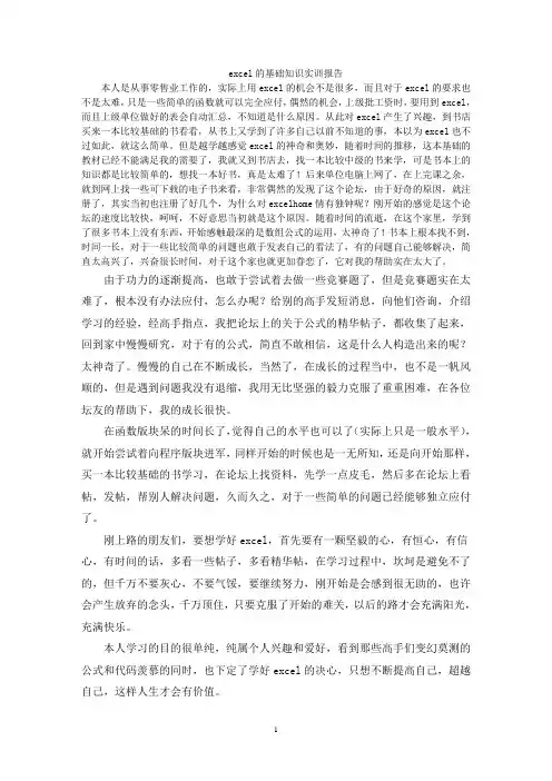 excel的基础知识实训报告