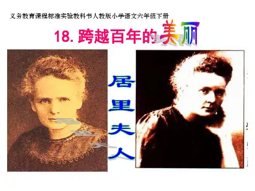 《跨越百年的美丽》课件
