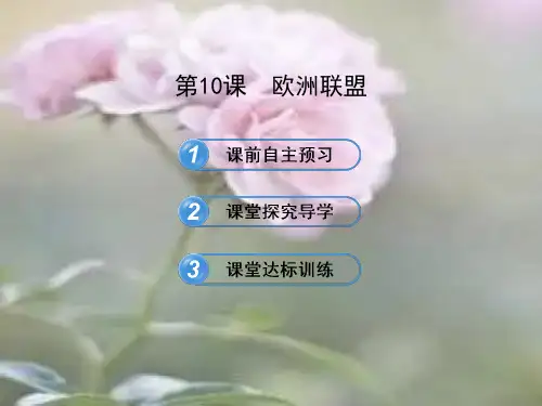 欧洲联盟中小学PPT教学课件