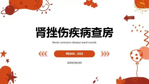 肾挫伤疾病查房ppt模板