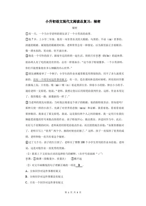 小升初语文现代文阅读总复习：秘密