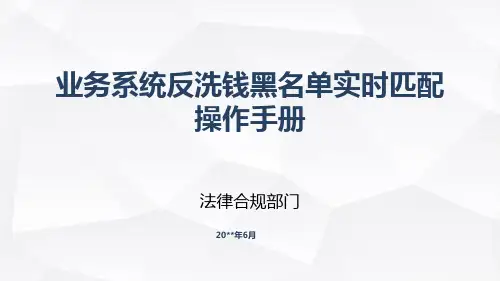 业务系统反洗钱黑名单实时匹配操作手册(最新,通用,全面)