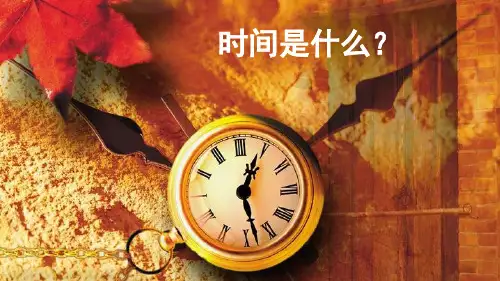 语文八下8《时间的脚印》
