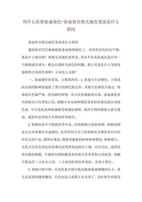 用什么给黑泰迪染色-泰迪贵宾狗毛褪色变淡是什么原因