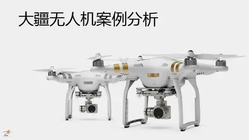 大疆营销策划03ppt课件