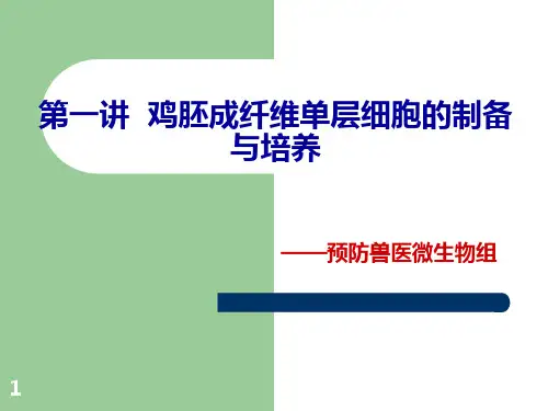 实验一——鸡胚成纤维细胞的培养PPT课件