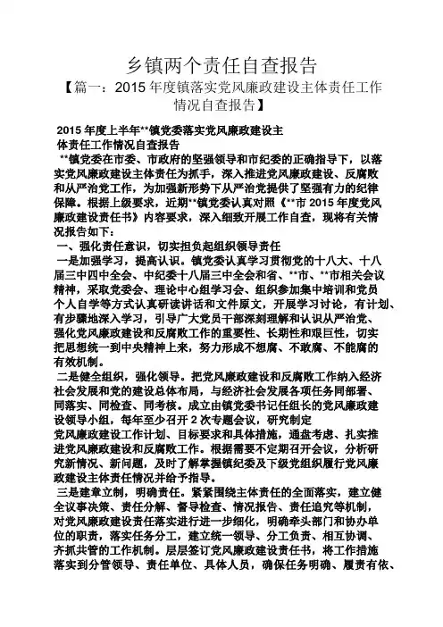 责任书之乡镇两个责任自查报告