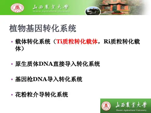 目的基因的转化和其原理课件