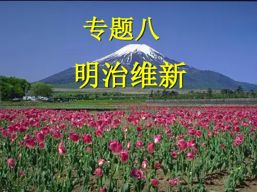 专题八     明治维新