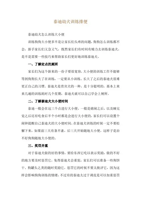 泰迪幼犬训练排便