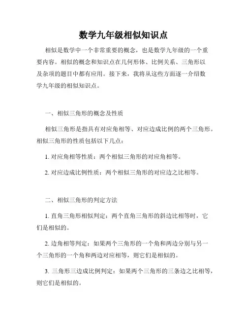 数学九年级相似知识点
