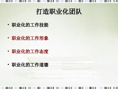 打造职业化的团队.pptx