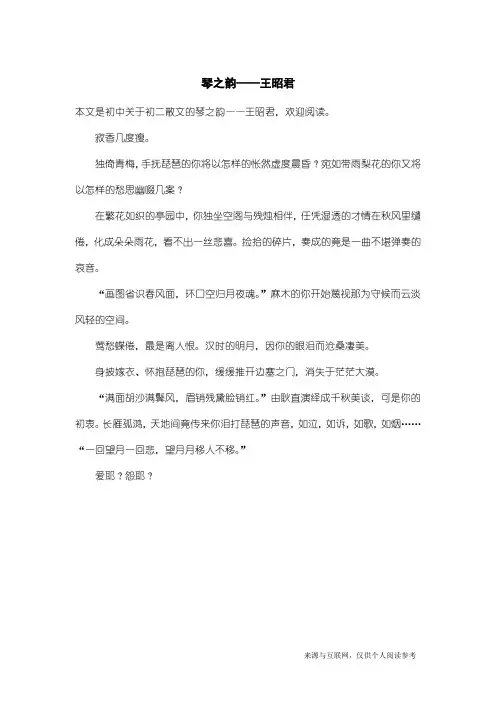 初二散文：琴之韵——王昭君