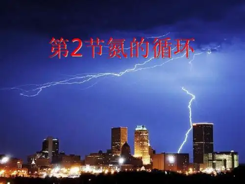 化学课件《氮的循环》优秀ppt14(8份) 鲁科版