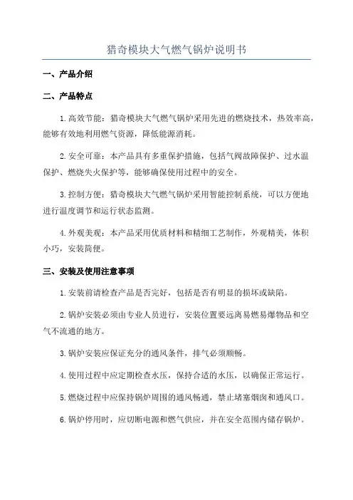 猎奇模块大气燃气锅炉说明书