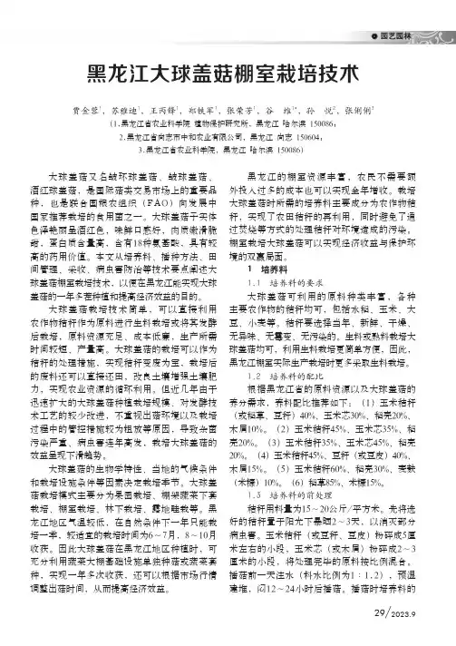 黑龙江大球盖菇棚室栽培技术