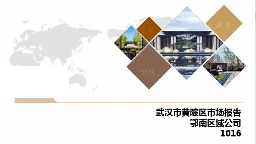 黄陂区市场报告PPT优选版