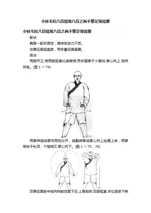 少林韦陀八段锦第八段之两手攀足强肾腰