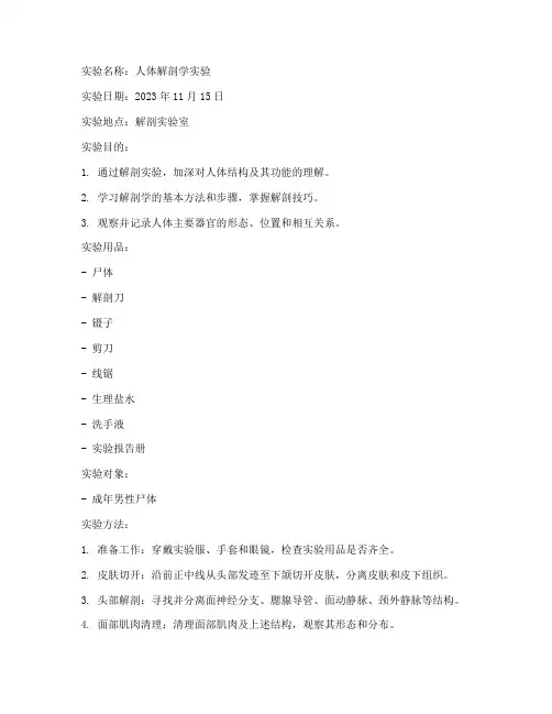 解剖课的实验报告