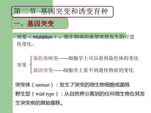 突变mutation指生物体的表型突然发生的可遗传变化