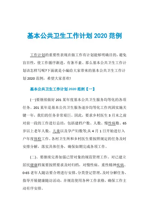 基本公共卫生工作计划2020范例