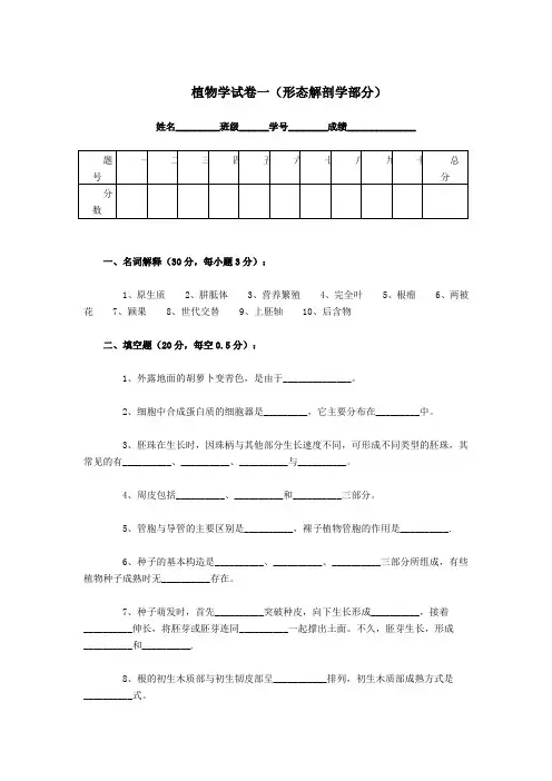 植物学试卷之一(形态解剖学部分)