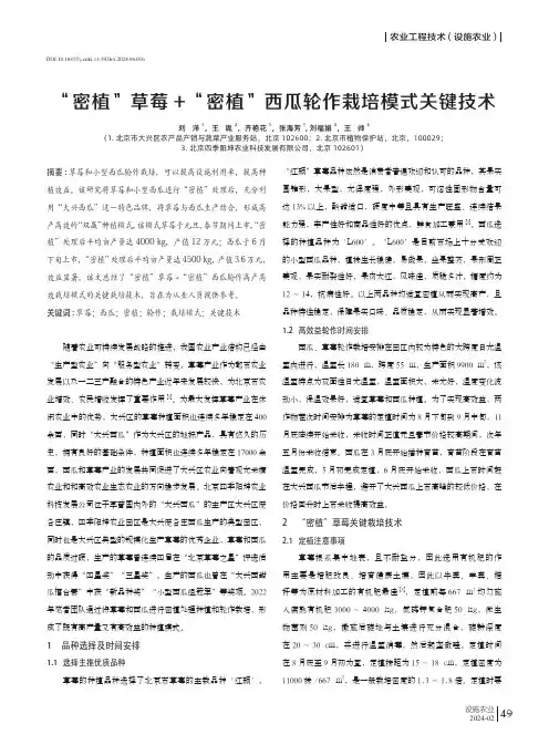 “密植”草莓+“密植”西瓜轮作栽培模式关键技术