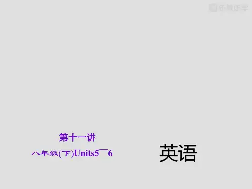 (人教版)中考英语复习课件【第11讲】(八下)Units5～6(25页)