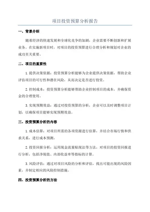 项目投资预算分析报告