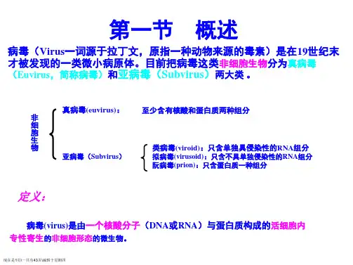 第三章病毒与亚病毒