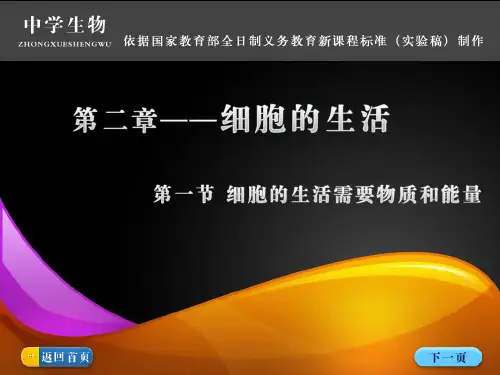 细胞中有哪些物质(精)