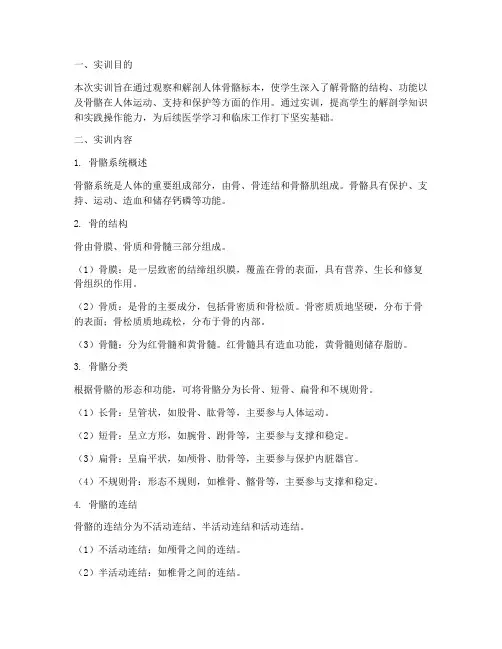 正常人体结构实训报告骨