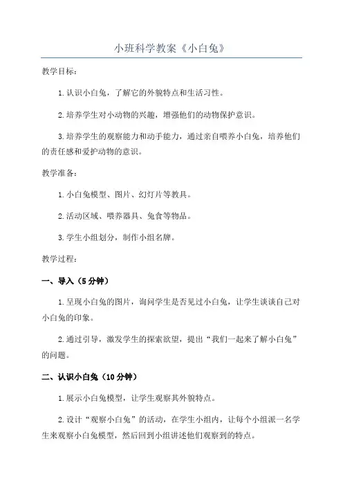 小班科学教案《小白兔》