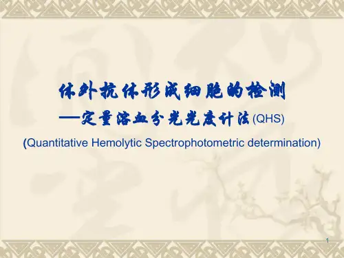 体外抗体形成细胞检测—定量溶血分光光度计法(QHS)