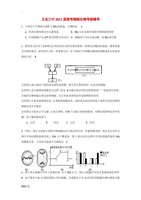 浙江省义乌三中2011届高三生物考前辅导试题浙科版