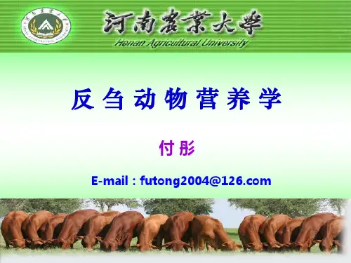 反刍动物营养学(年上学期)-碳水化合物的营养