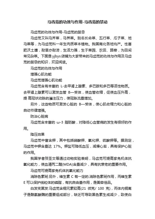 马齿苋的功效与作用-马齿苋的禁忌