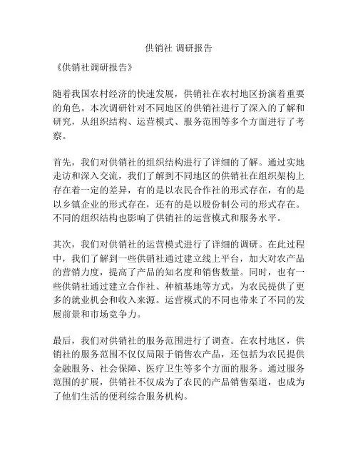 供销社 调研报告