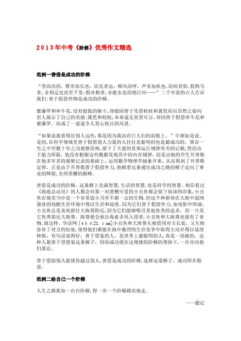 自-2013年中考《阶梯》优秀作文精选 