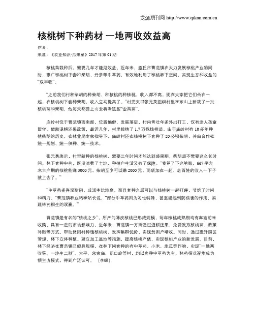 核桃树下种药材 一地两收效益高