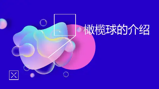 橄榄球的介绍