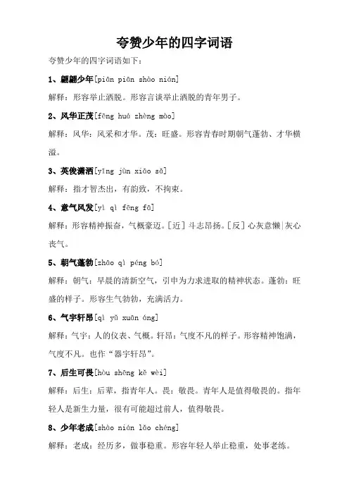 夸赞少年的四字词语