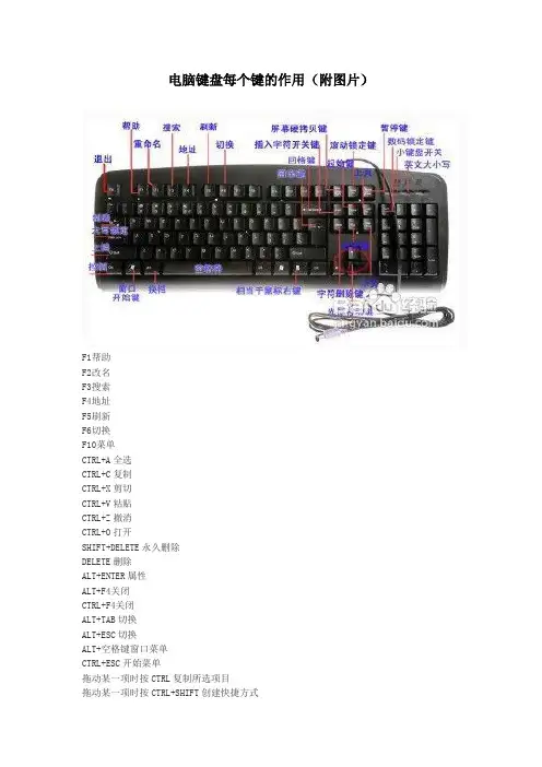 电脑键盘每个键的作用(附图片)