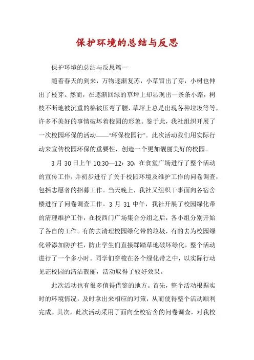 保护环境的总结与反思
