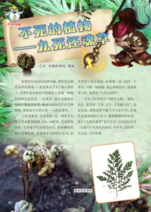 不死的植物——九死还魂草
