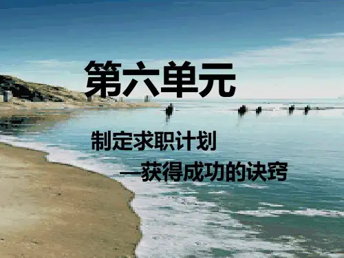就业指导  第六章